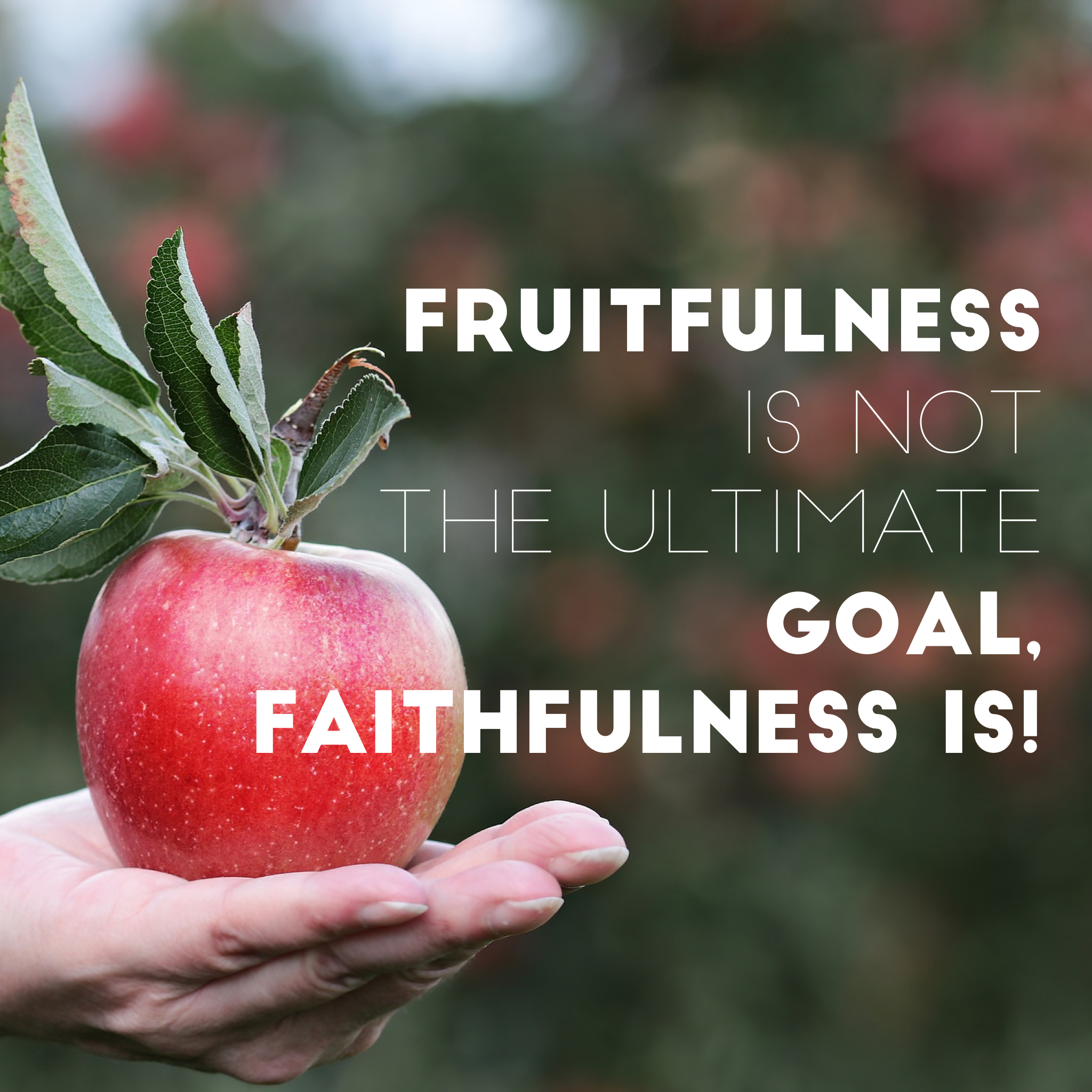 Should We Be Fruitful Or Should We Be Faithful? - JeffManess.com
